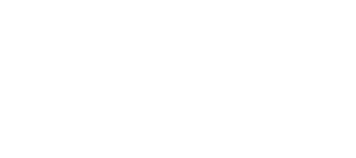 pawparadise